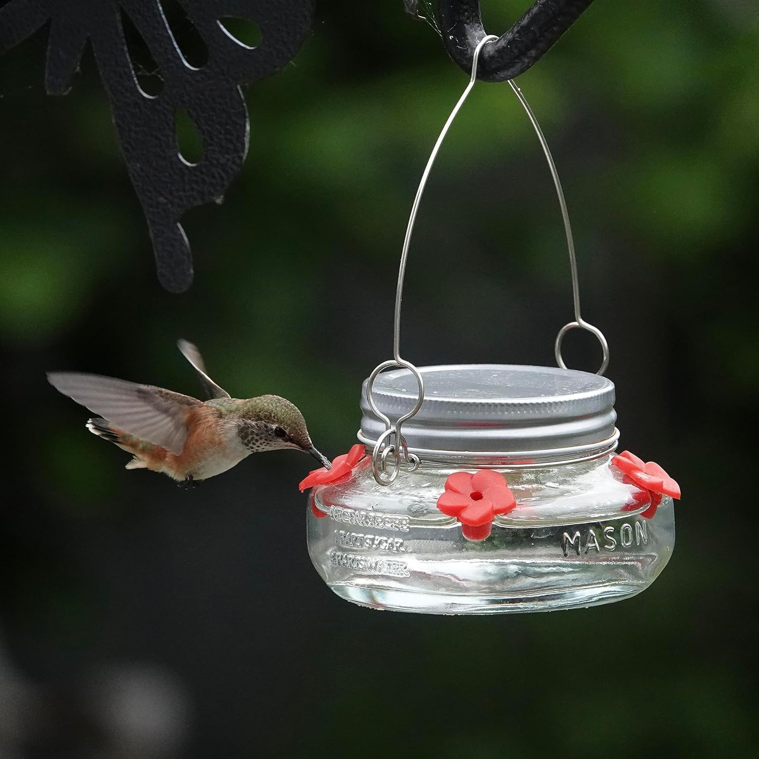 Mason Jar Hummingbird Dish Feeder, Birds Product, Birds Feed Dish - 4 Mason Jar Hummingbird Dish Feeder, Birds Product, Birds Feed Dish - 4